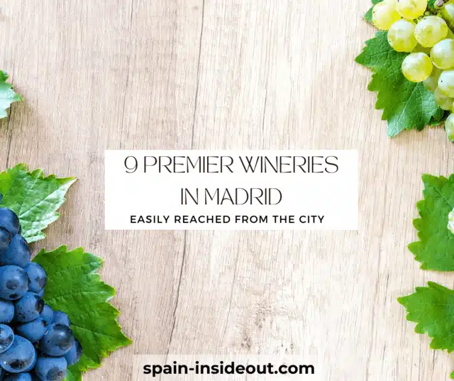 9 premier wineries in madrid