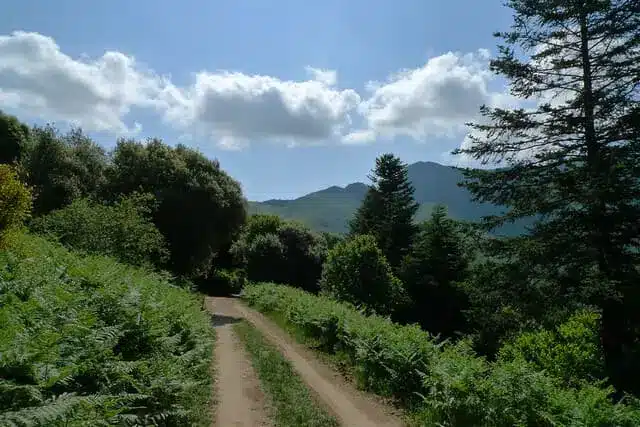 Barcelona Hikes: 7 best mountain tours near the city